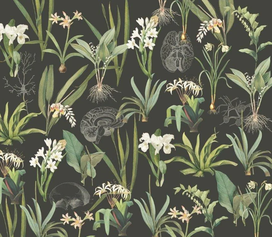 Botanical wallpaper pattern with white flowers, green leaves, and detailed root systems on dark grey background.