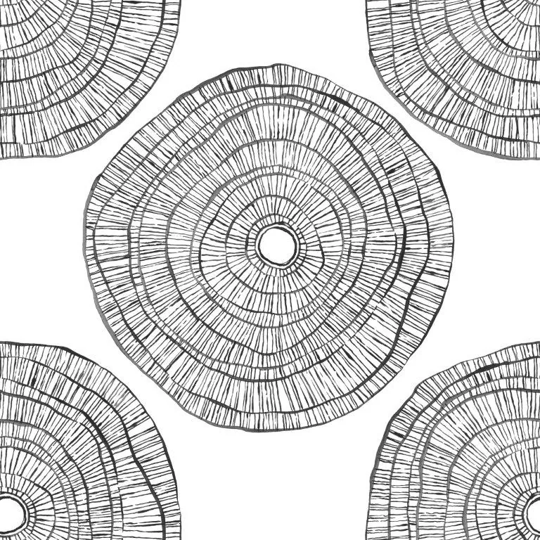 Black and white concentric circular patterns with fine radiating lines in a repeating boho design