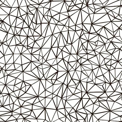Black line geometric mesh pattern with interconnected triangles on white background