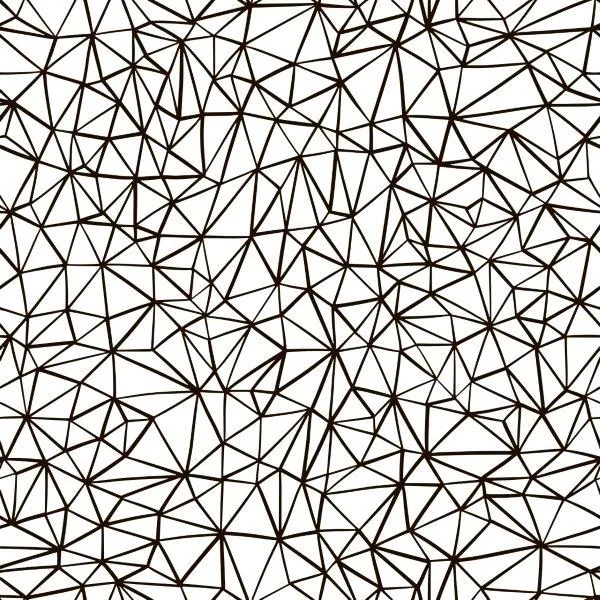 Black line geometric mesh pattern with interconnected triangles on white background