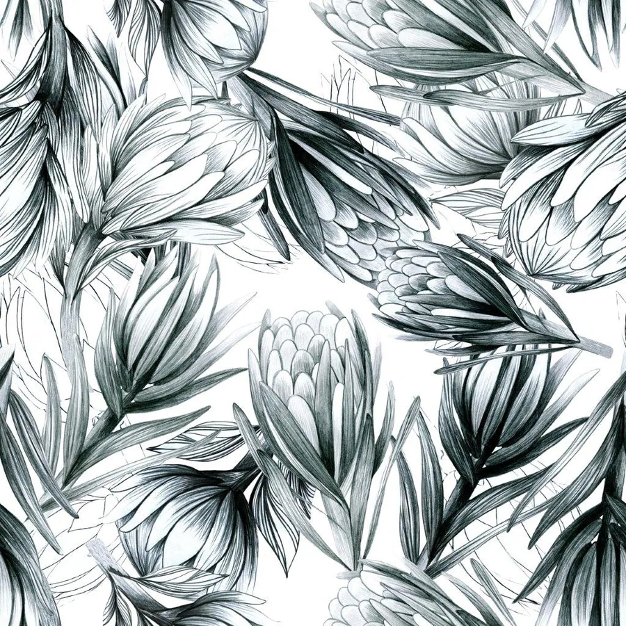 Hand-drawn protea flowers in black and gray ink on white background, botanical line art pattern