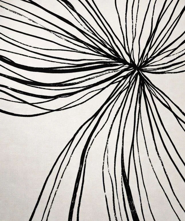 Black radiating lines converging at center point on white background, creating starburst pattern.