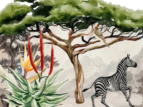 Watercolor illustration of acacia tree with zebra, red flowers, and bird in African savanna setting