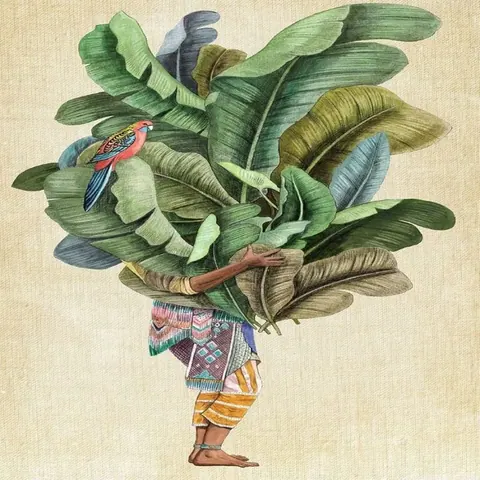 Illustration of person holding large banana plant with colorful parrot perched among green leaves and traditional patterned fabric.