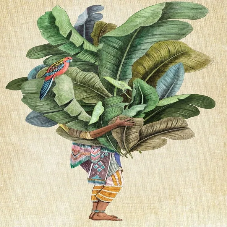 Illustration of person holding large banana plant with colorful parrot perched among green leaves and traditional patterned fabric.