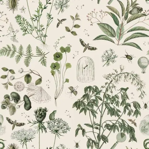 Vintage botanical illustration pattern featuring detailed drawings of plants, ferns, insects, and flower specimens on cream background.