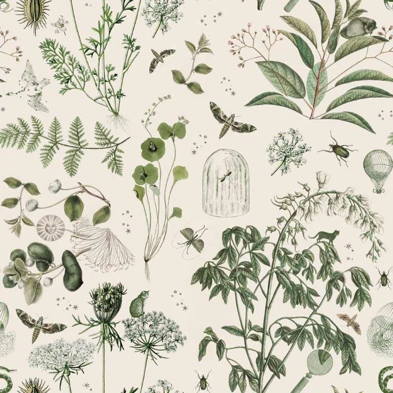 Vintage botanical illustration pattern featuring detailed drawings of plants, ferns, insects, and flower specimens on cream background.