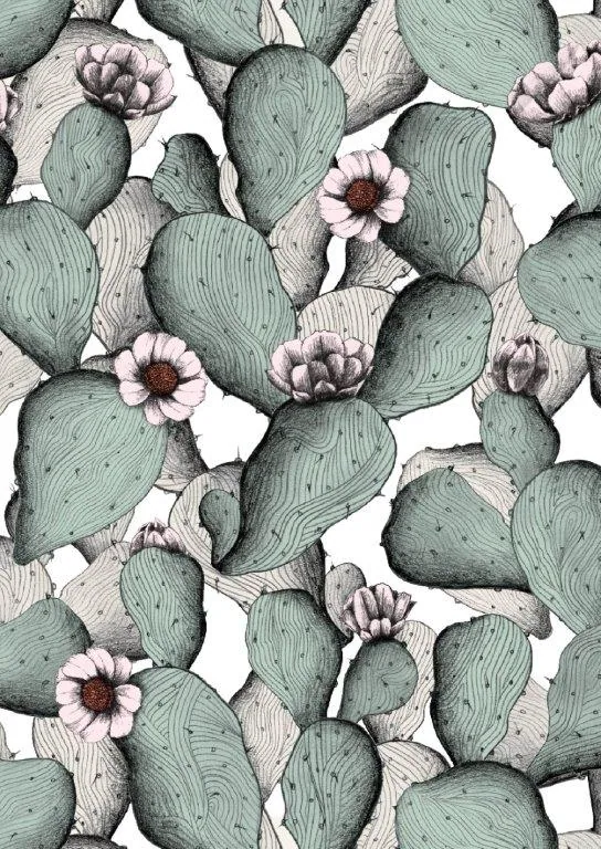 Repeating pattern of green cacti with pink blossoms on a white background