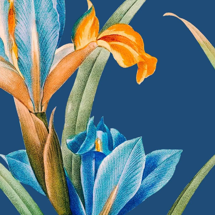 Watercolor botanical mural with blue and orange iris flowers on navy blue background