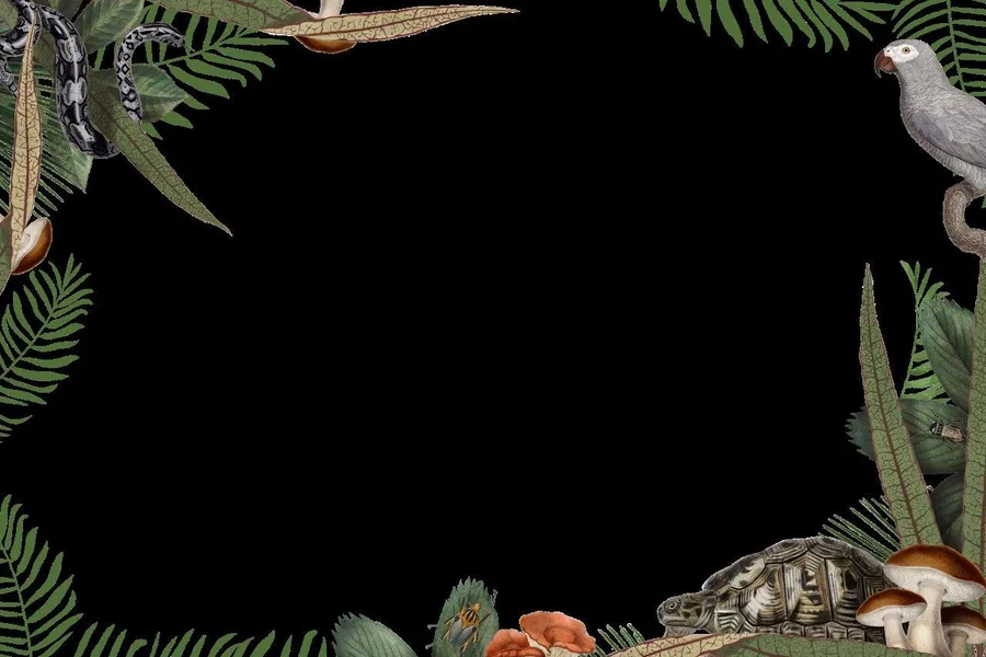 Tropical jungle frame with green ferns, bird, turtle, mushrooms and foliage on black background