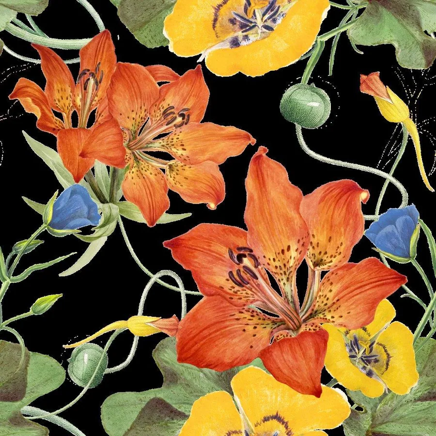 Orange and yellow nasturtium flowers with green vines and blue buds on black background