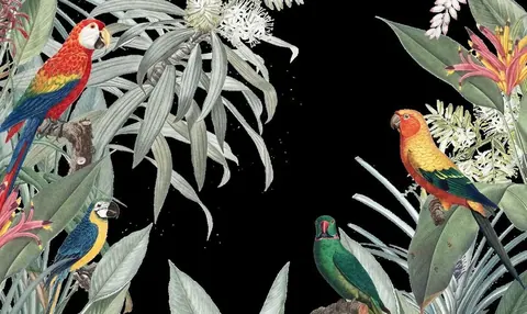 Colorful parrots nestled in green leaves and white flowers on black background