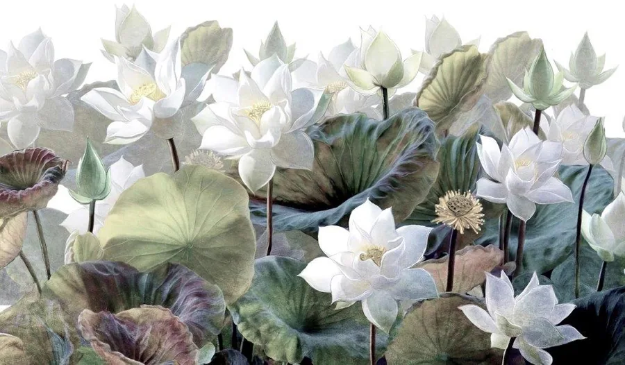White lotus flowers with green and grey lily pads in a botanical watercolor style arrangement