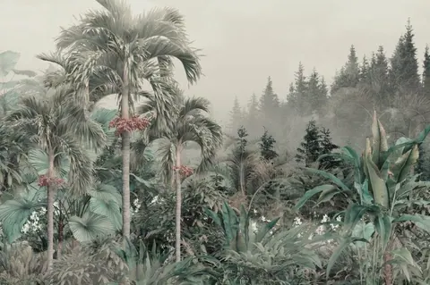 Tall palm trees with red fruits surrounded by tropical plants, fading into misty forest backdrop.