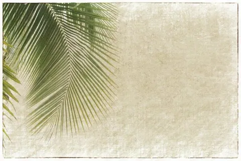 Green palm fronds on textured cream background with vintage finish