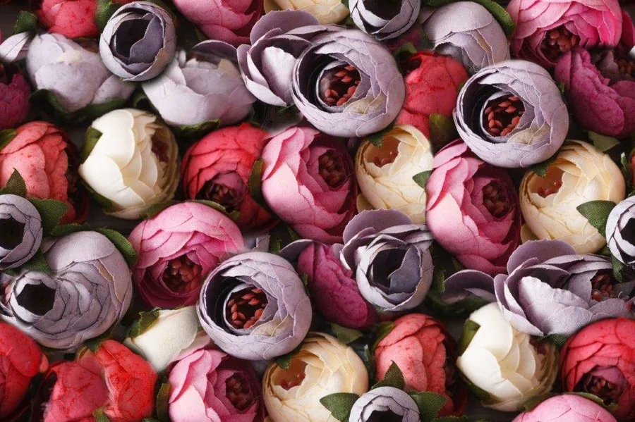 Densely packed garden peonies in pink, purple, cream and burgundy with dark green foliage.