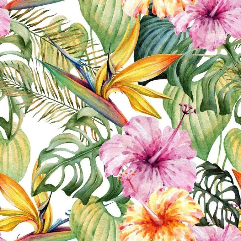 Watercolor tropical flowers with bird of paradise blooms, hibiscus, and monstera leaves on white background