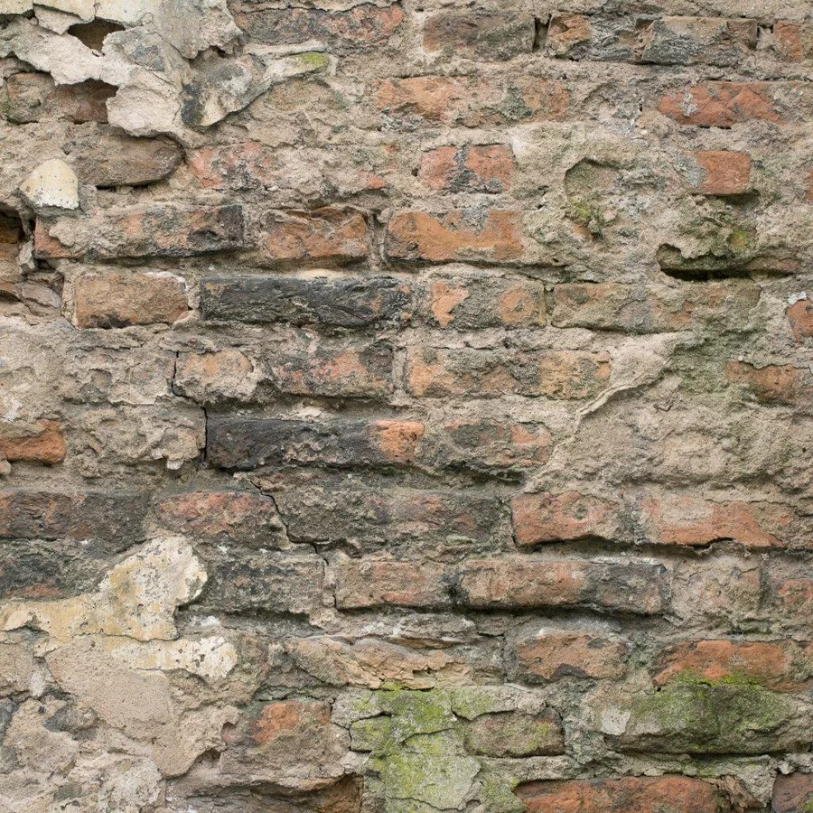 Aged brick wall with weathered mortar, moss growth, and natural patina in terracotta and grey tones.