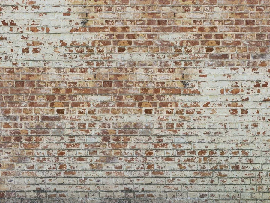 Distressed whitewashed brick wall texture with peeling cream paint and exposed red bricks