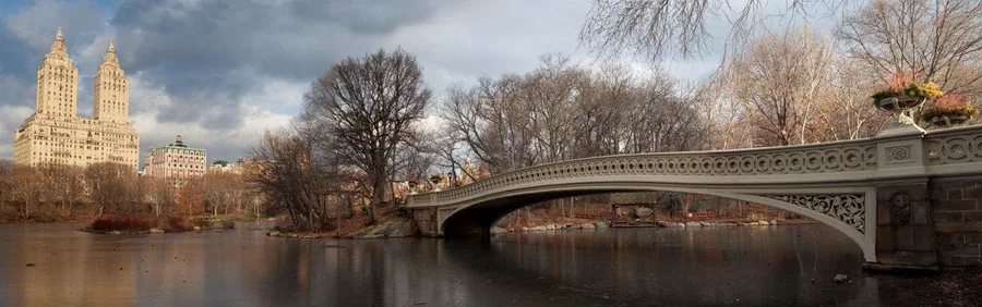 Ornate bridge over calm water with historic twin-tower buildings and bare winter trees under cloudy sky