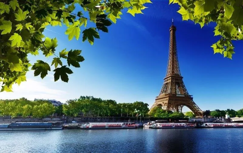 Eiffel Tower view from Seine river with green foliage canopy and blue sky