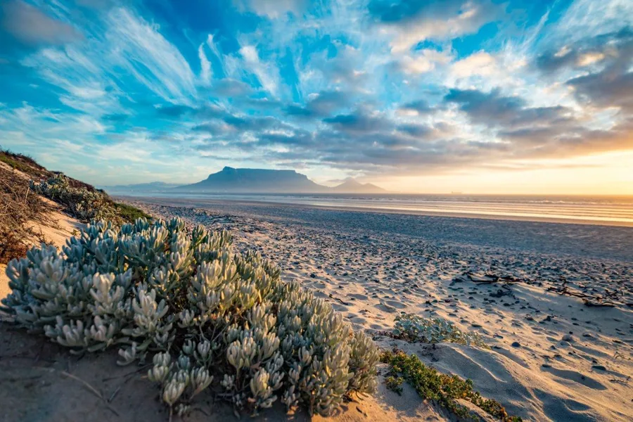 Sunset view of Table Mountain with desert vegetation and coastal plains under dramatic blue sky