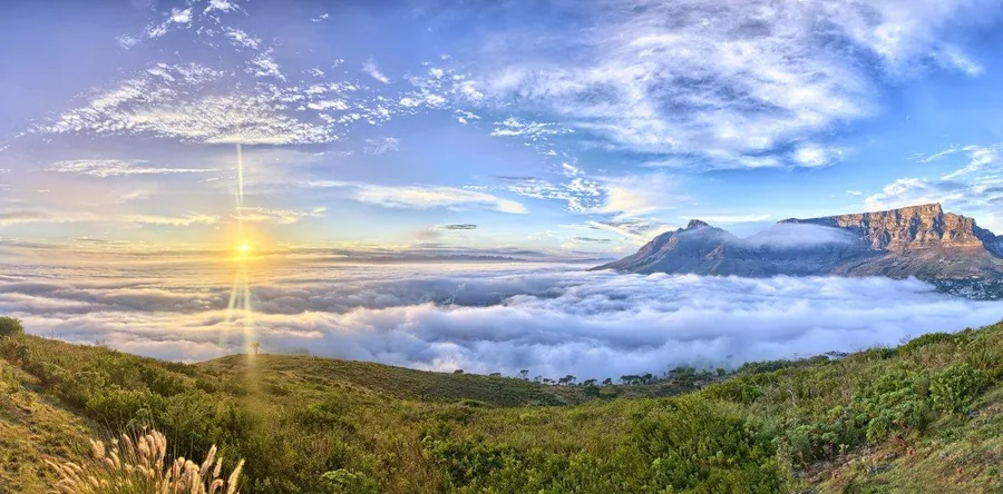 Sunrise over Table Mountain with sea of clouds and green foreground vegetation.