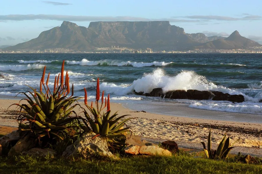 Coastal beach view with Table Mountain, waves, and red flowering plants in foreground