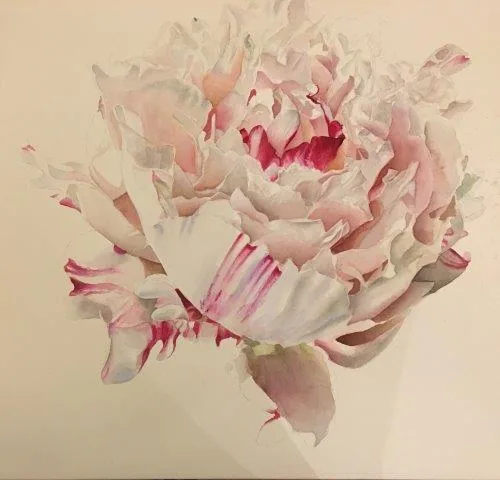 Watercolor peony flowers in soft pink and cream with layered petals on pale background.
