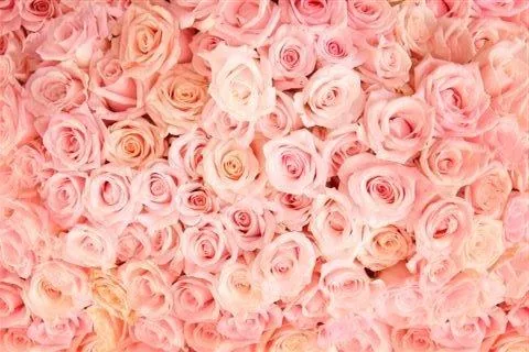Dense cluster of pink, coral, and cream roses filling entire frame in soft romantic tones.