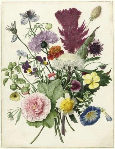 Vintage botanical illustration of mixed garden flowers including pink dahlias, purple thistles, and daisies with detailed stems and leaves.