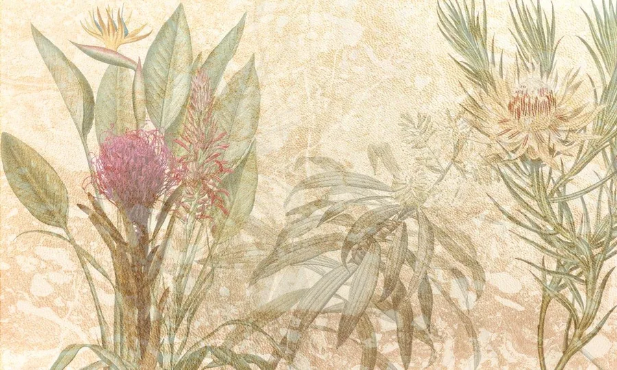 Vintage botanical wallpaper with pink protea flowers, green leaves, and dried grasses on cream background