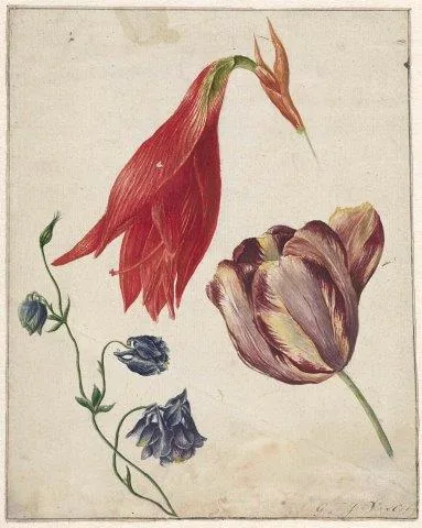Vintage botanical illustration with red hanging flowers, purple tulip, and blue bell-shaped blooms on cream background.