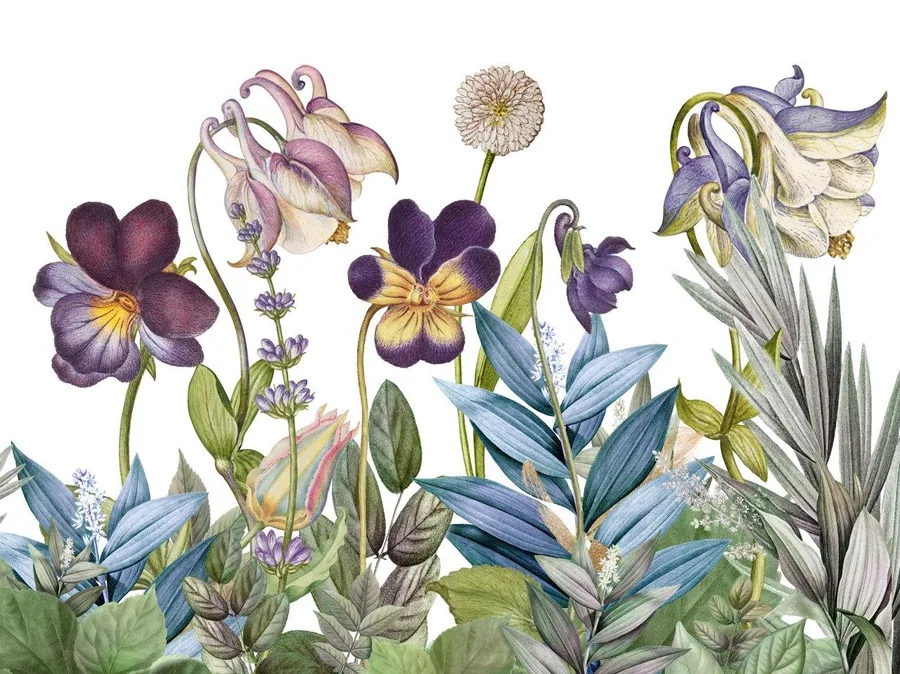 Watercolour botanical illustration with purple pansies, blue flowers, and green leaves on white background.