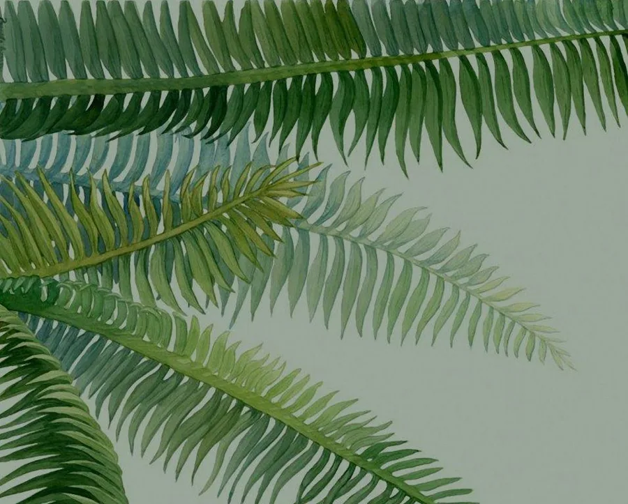 Cascading fern fronds with layered green tones on soft grey background.