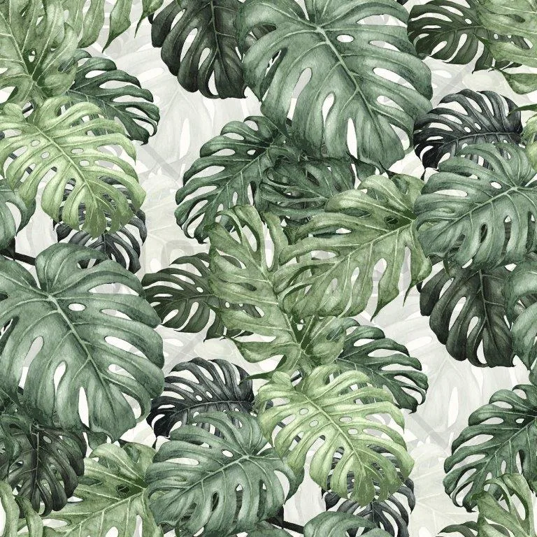 Repeating pattern of green watercolor monstera leaves with characteristic split foliage on white background