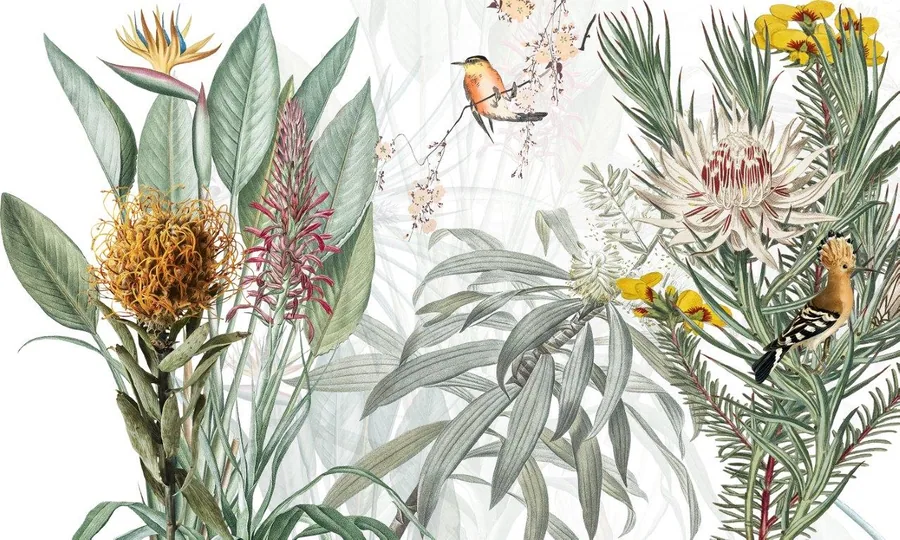 Botanical wallpaper mural with protea flowers, birds of paradise, green leaves, and perched birds in watercolor style.