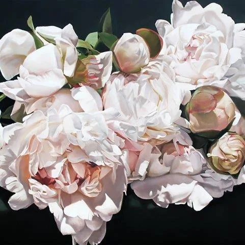Close-up of layered pink and white peonies with green foliage on dark background