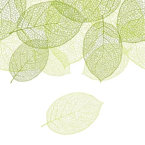 Translucent skeleton leaves in varying shades of green and pale yellow on white background