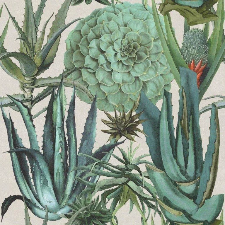 Botanical wallpaper design with detailed green succulents, flowering cacti with red blooms, and spiky plants on cream background.