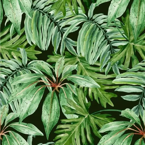 Dense tropical palm leaves in shades of green with reddish-brown stems on black background