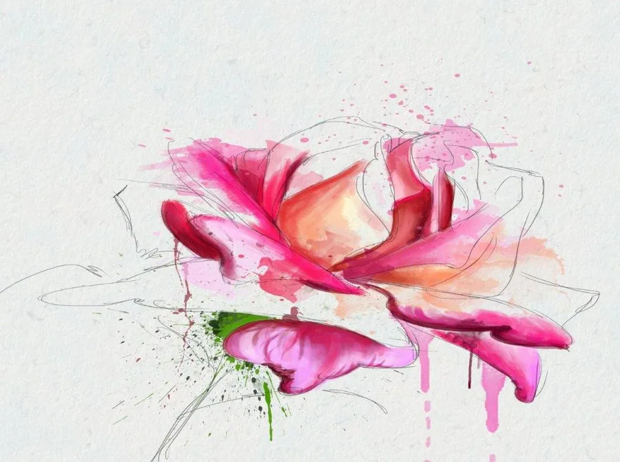 Artistic watercolor rose with pink and coral petals, sketch lines, and green splashes on white background.