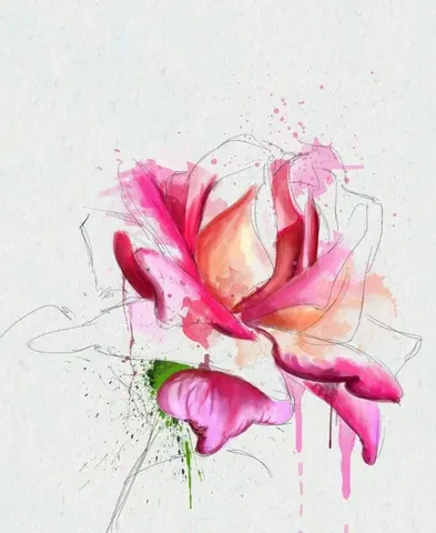 Watercolour painting of a pink and coral rose with sketch lines and artistic paint splatter effects on white background.