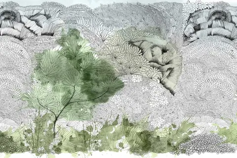 Delicate botanical line art with watercolor green foliage and textured pen drawings on soft background