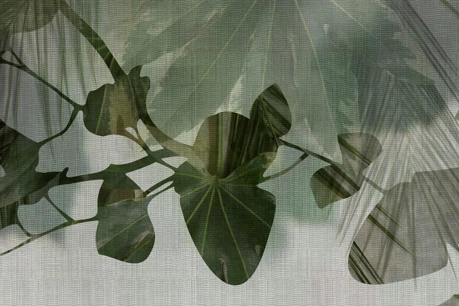 Translucent green leaves and stems with subtle shadows on a light neutral background.