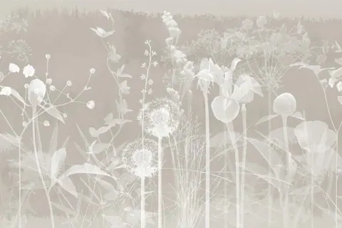 Soft cream and white botanical mural with layered wildflowers, dandelions, and flowering plants in an ethereal, translucent style.