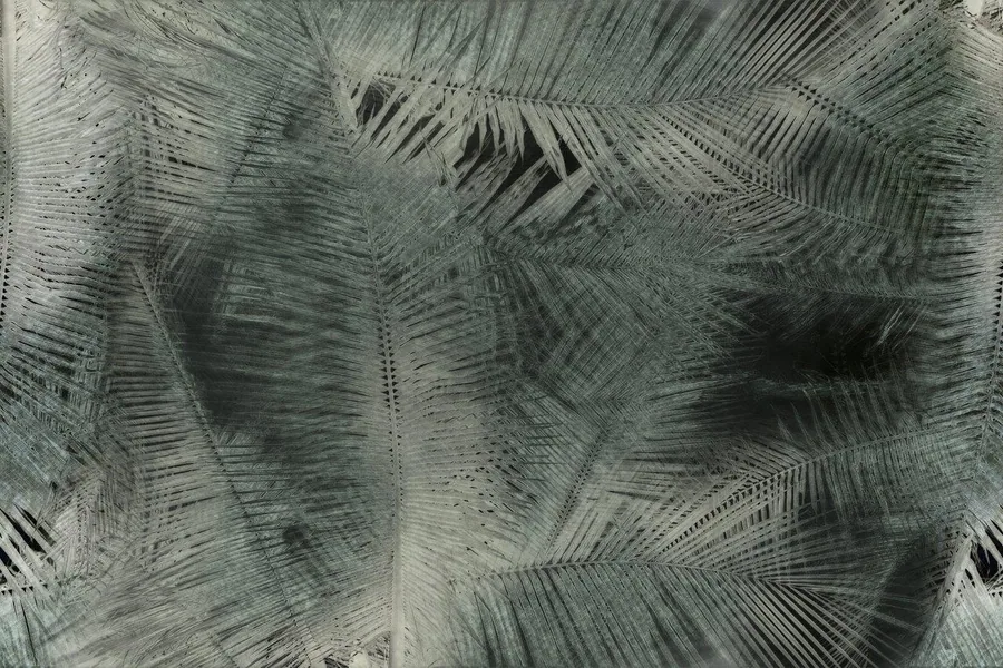 Abstract feather pattern with intersecting geometric lines in grey and charcoal tones
