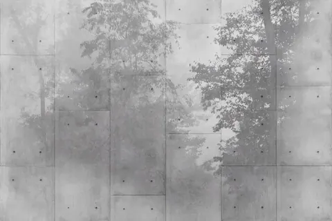 Monochrome misty forest with tall trees behind a concrete tile pattern overlay