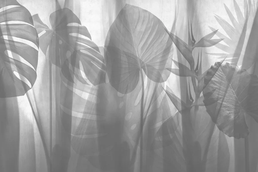 Backlit monstera and tropical leaves with gauzy overlays in black and white monochromatic tones.