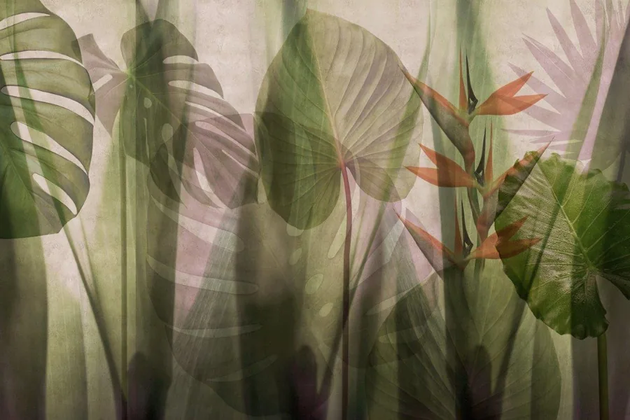 Translucent tropical leaves in green and terracotta tones with soft overlapping botanical silhouettes